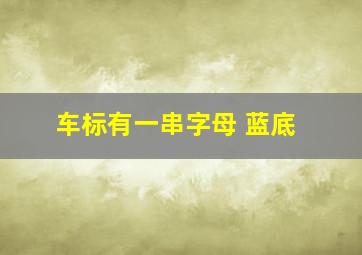 车标有一串字母 蓝底